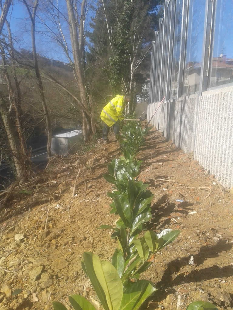 Plantación  y siembra de cesped en autopista A8. Zarautz