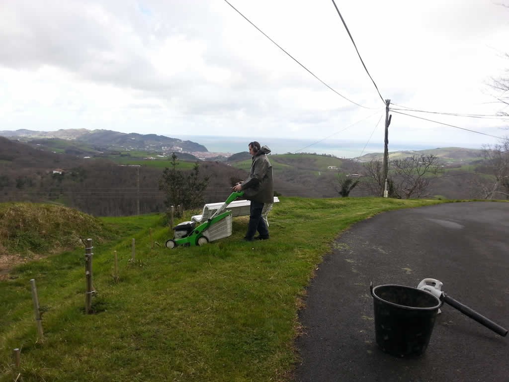 Mantenimiento jardines en Aia. Gipuzkoa