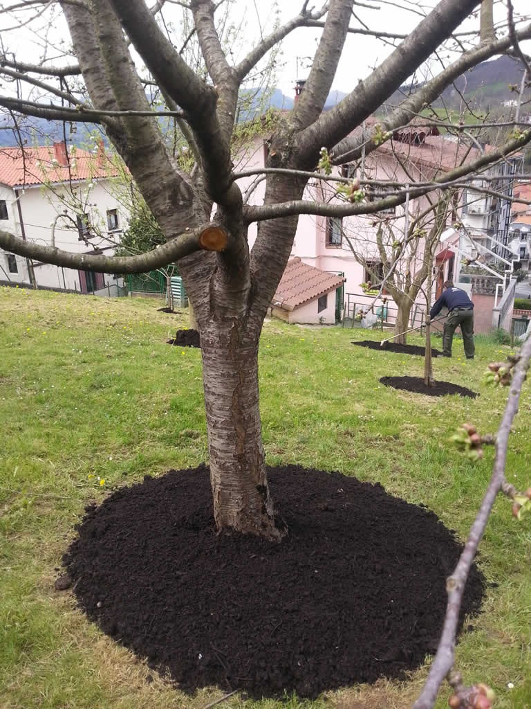 Mantenimentua Andoainen