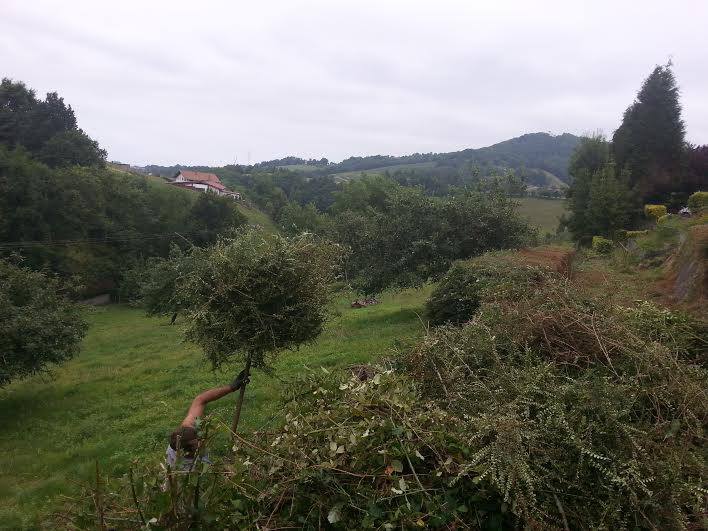 Desbroze eta garbiketa Irunen