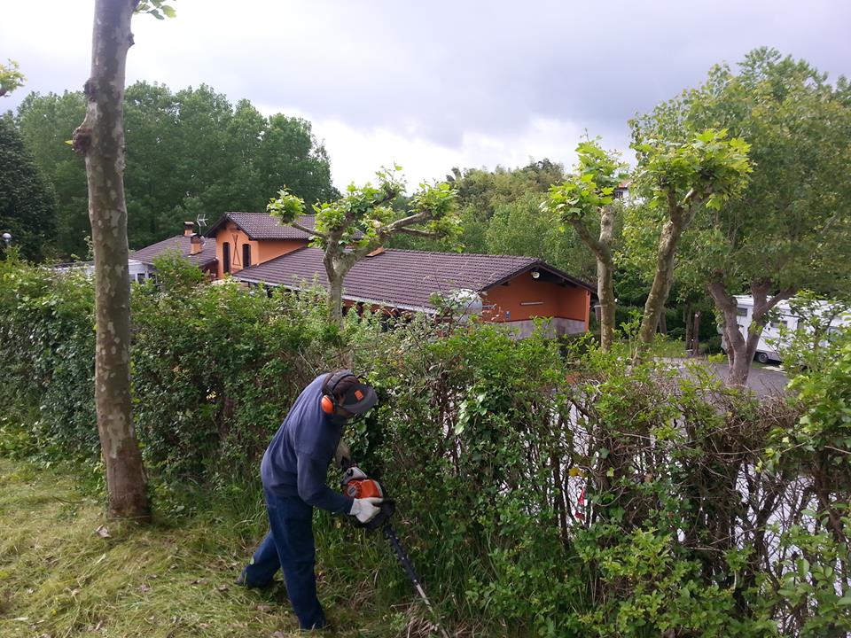 Mantenimiento,desbroce y podas en Camping Jaizkibel,Hondarribia.