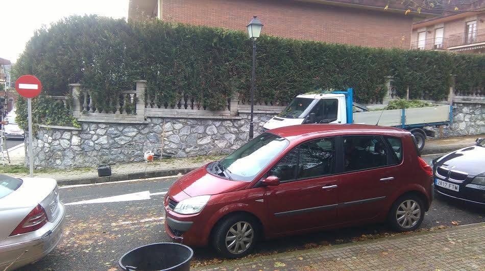 Poda de setos en Egia.Donostia