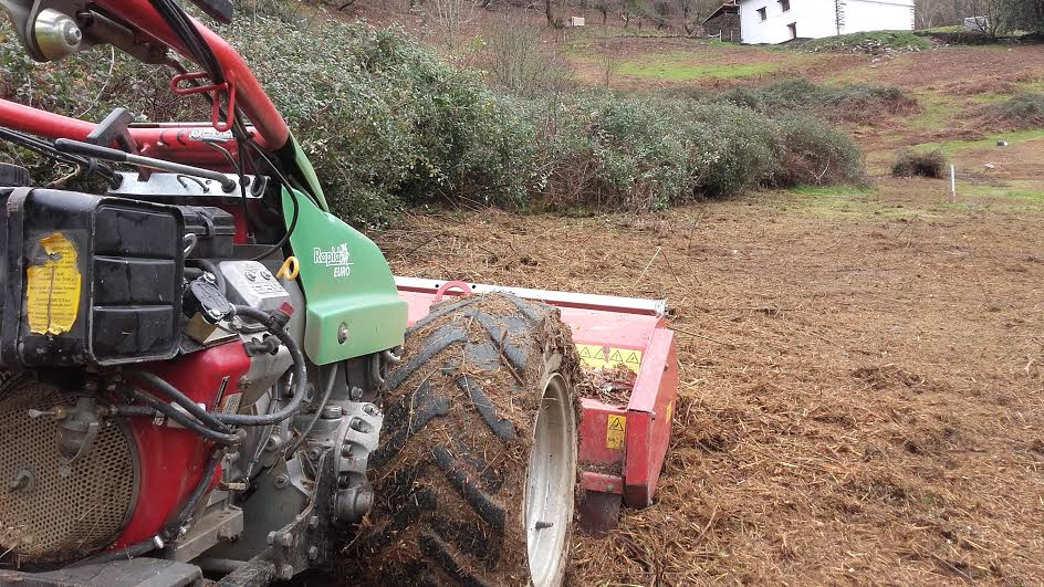 Tala de árboles y limpieza de parcela / Terrenu garbiketa,Hondarribia