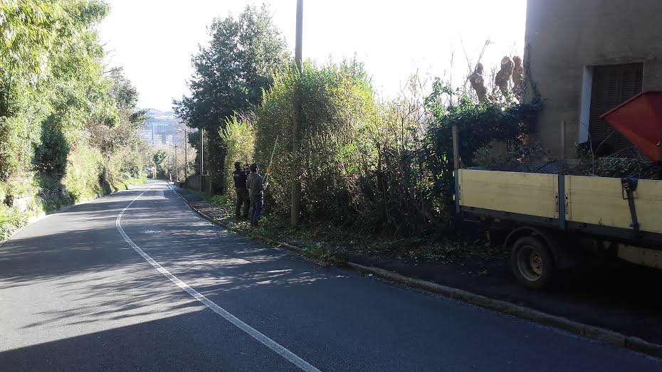 Garbiketa eta inausketa Igeldo pasealekuan