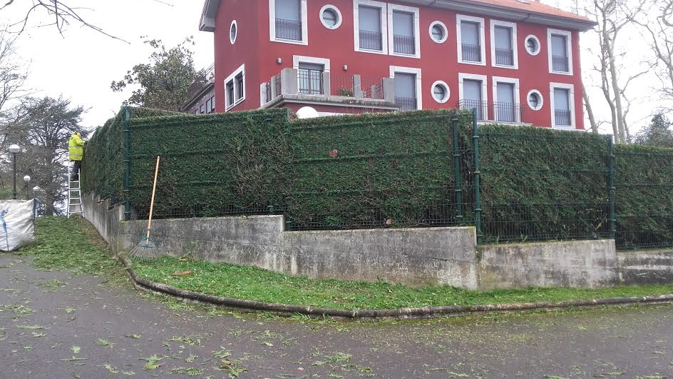 Poda de setos en «Puio etxea»,Donostia.