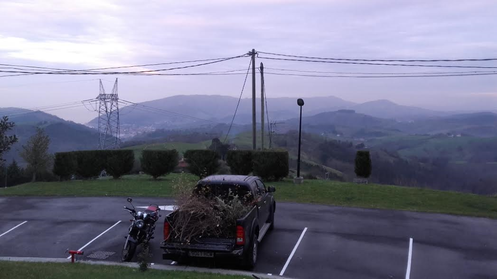 Podas de setos y arboles en Aia,Gipuzkoa