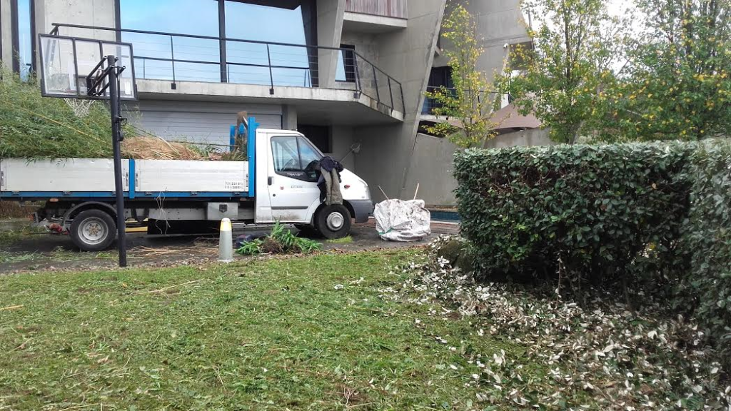 Podas y limpieza de jardines en villa en Larrañategi ,Donostia