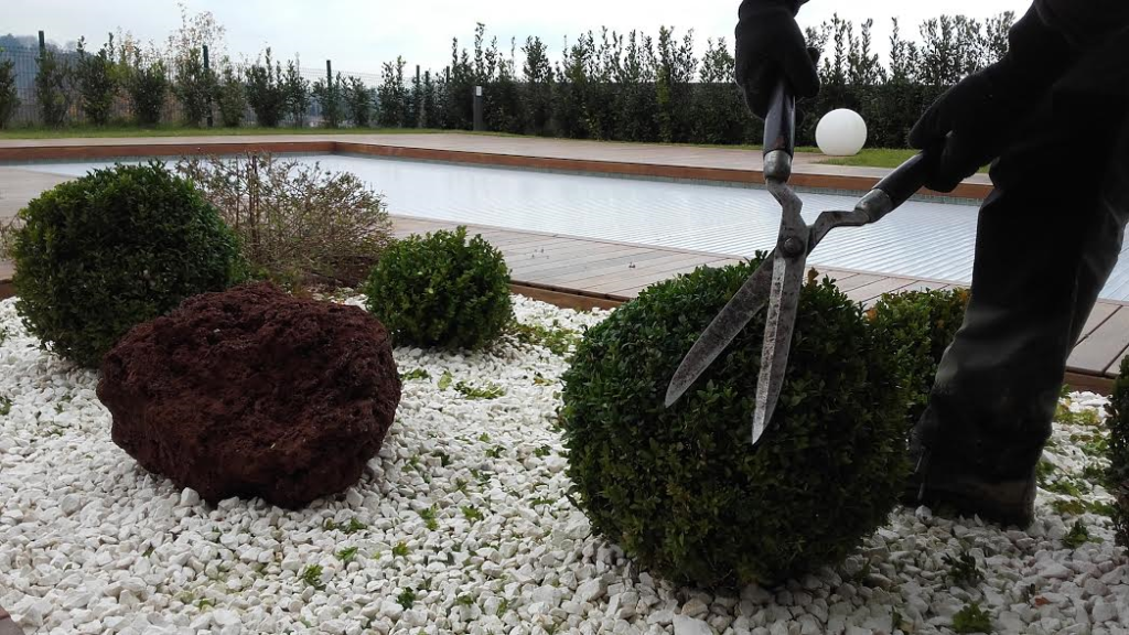 Kimaketak eta landaketa  /  Podas y plantación en Miramón, Donostia
