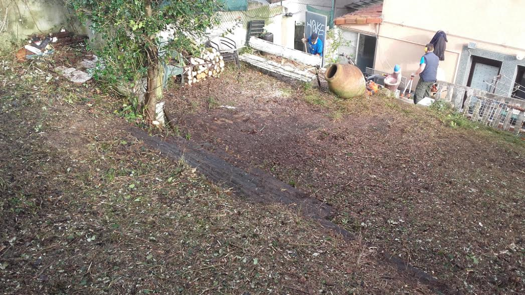 Kimaketak eta garbiketa orokorra/Desbroce,podas y limpieza general en Pasaia