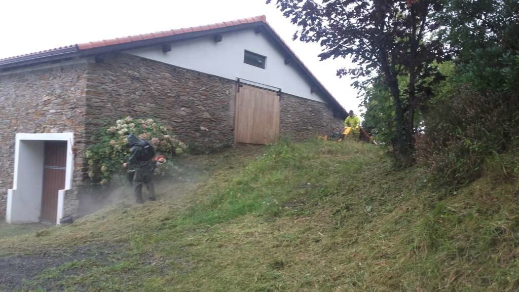 Desbrozea eta bide garbiketa Zumaian /Desbroce y limpieza de camino en Zumaia