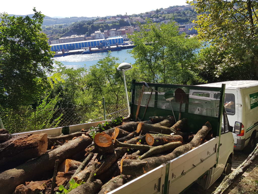 Garbiketa orokorra Pasaian /Limpieza podas y talas en Pasaia