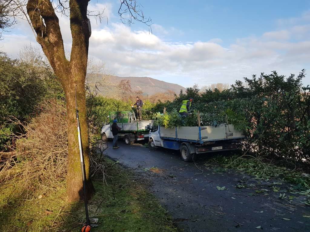 Mantenua eta lorezaintza lanak Jaizubian / Mantenimiento y trabajos de jardinería  en Jaizubia Irun