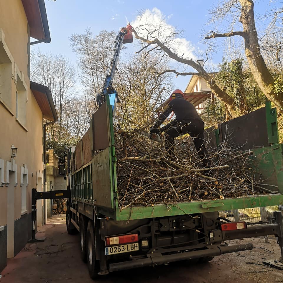 Kimaketa lanak Hondarribian / Trabajo de poda y tala de arboles en Hondarribia