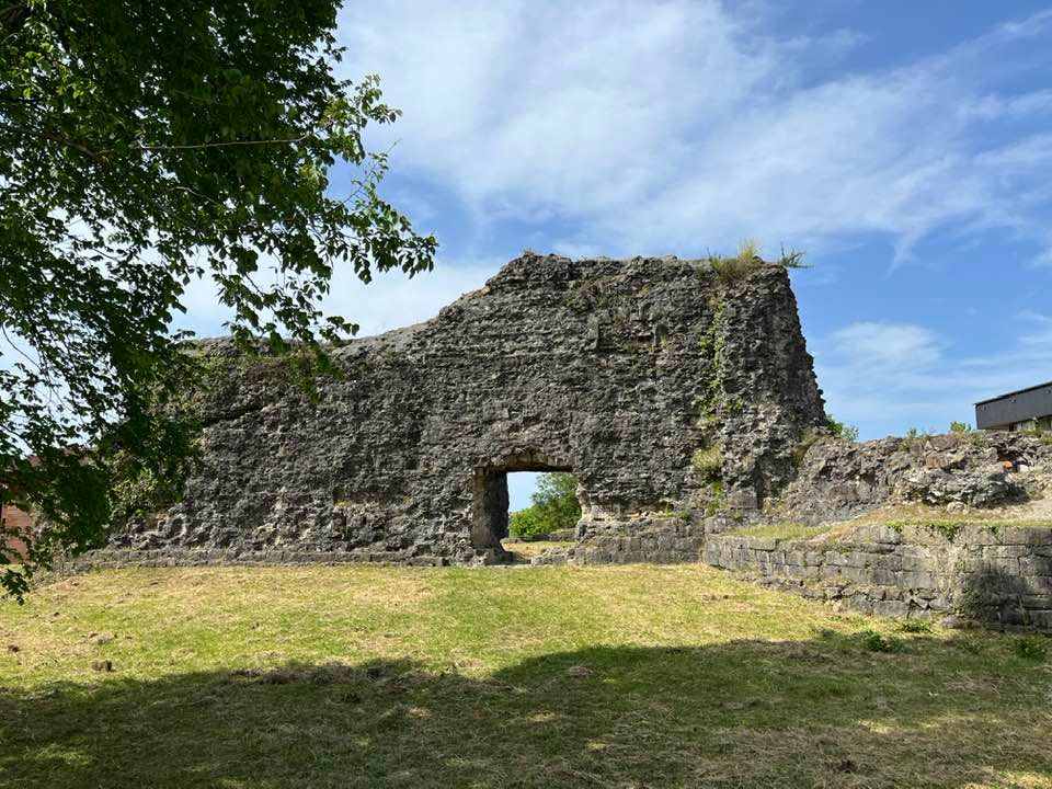 Talando árbol en ruinas de castillo 🌲🪓 (GAZTELUZAR GOTORLEKUA )